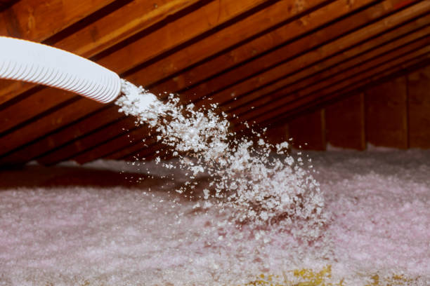 Best Cellulose Insulation in Slippery Rock University, PA